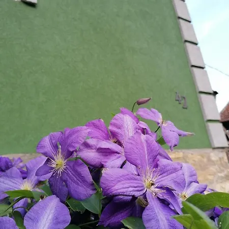 アパート Kuca Mihajlovic *