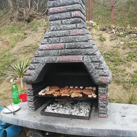 Kuca Mihajlovic * Svrljig