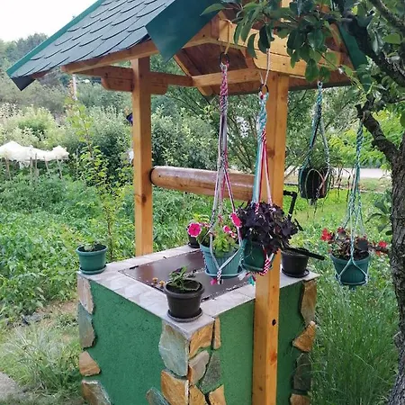 Kuca Mihajlovic Svrljig