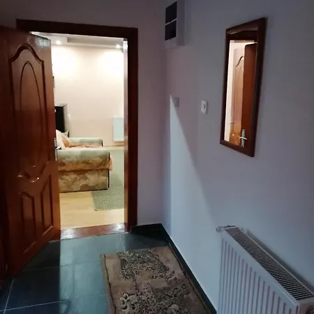 Kuca Mihajlovic アパート Svrljig