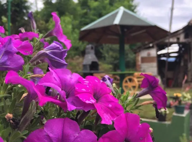 Kuca Mihajlovic Апартаменты